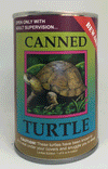 Land Turtle | 01804