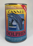 Dolphin | 01813